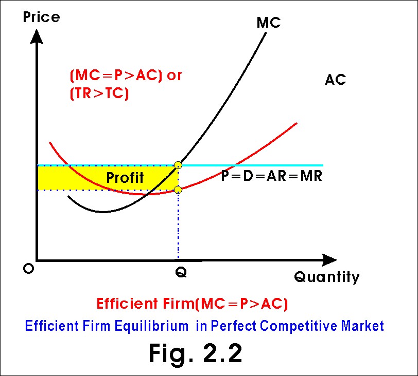 efficient firm in the short run