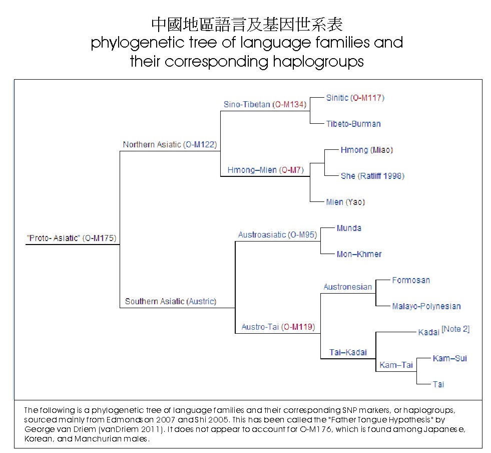 Tree of Language and Gens in China