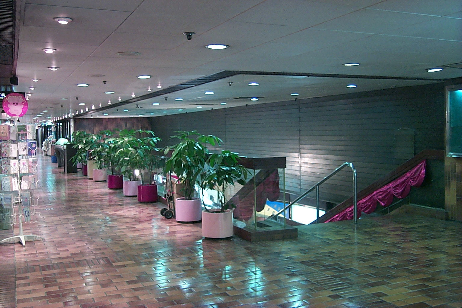 images/1f/P0001042.JPGJPG