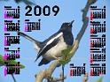 09calendar_style03_bird1_op