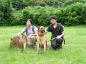 20130818jw_dog_training_P1140346