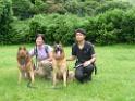 20130818jw_dog_training_P1140354