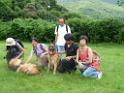 20130818jw_dog_training_P1140374