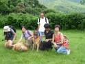20130818jw_dog_training_P1140375