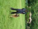 20130818jw_dog_training_P1140129