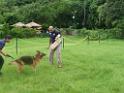 20130818jw_dog_training_P1140212