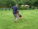 20130818jw_dog_training_P1140249
