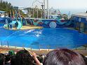 081215jw_o_park_p1160315