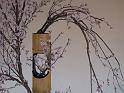 090315sm_P1030571