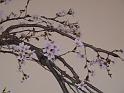 090315sm_P1030572