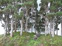 090315sm_P1030585