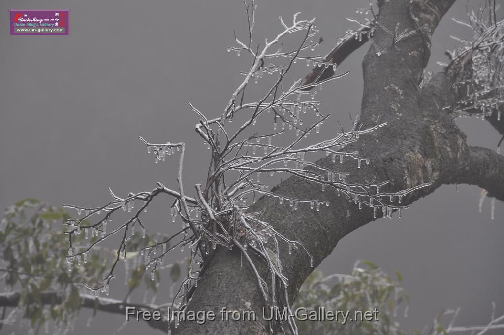 mongshan national park, hunan