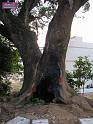 DSCN0010