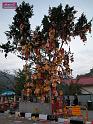 DSCN0017
