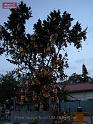 DSCN0019
