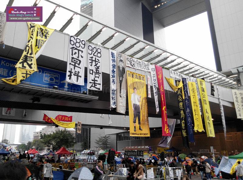 sm-occupyadmiralty-IMG_20141207_165328.jpg