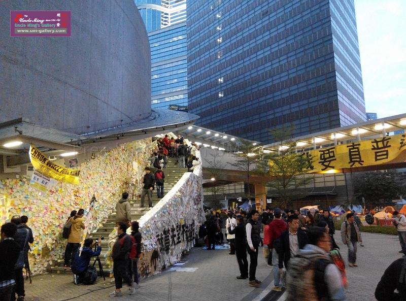 sm-occupyadmiralty-IMG_20141207_174836.jpg