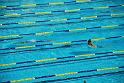 20120916tp_swimming_DSC_7086