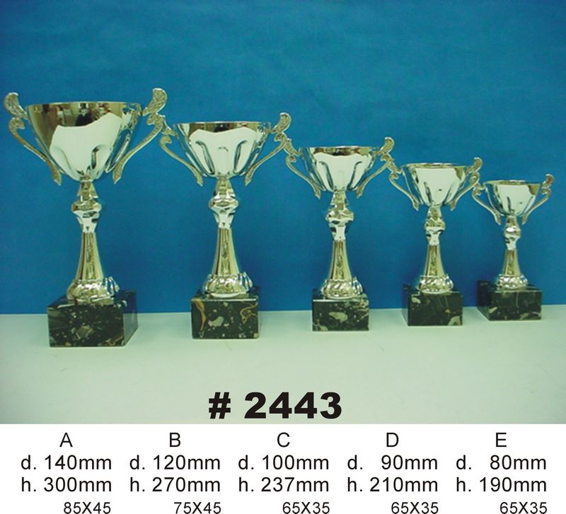 Image 12 of 46  -  74 kB